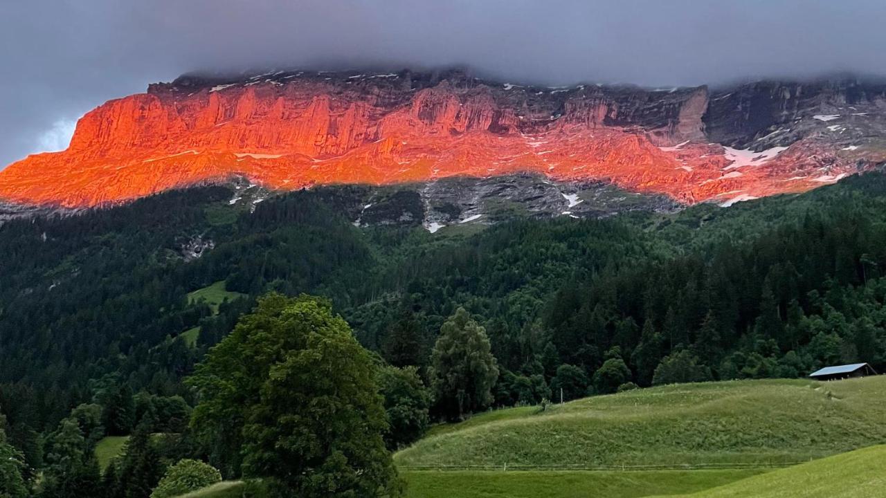 Ferienwohnung Im Gruenen Grindelwald Eksteriør billede