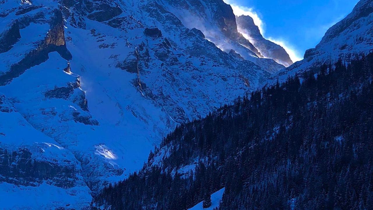 Ferienwohnung Im Gruenen Grindelwald Eksteriør billede