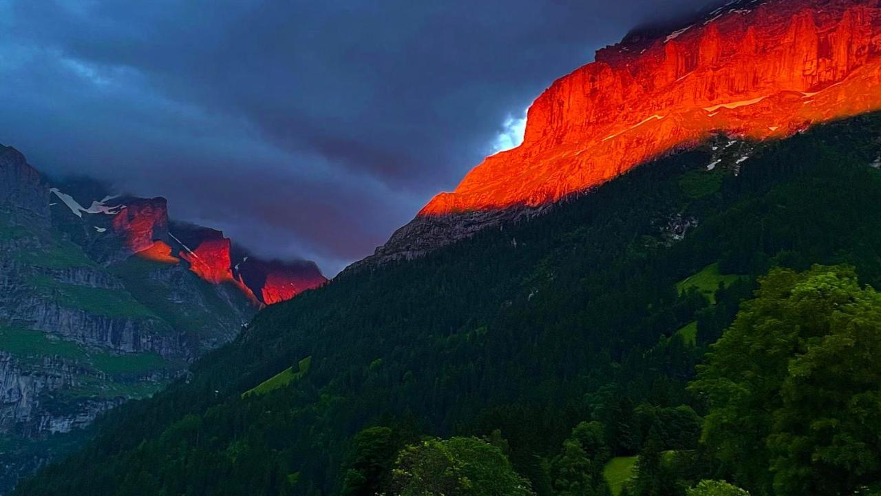 Ferienwohnung Im Gruenen Grindelwald Eksteriør billede