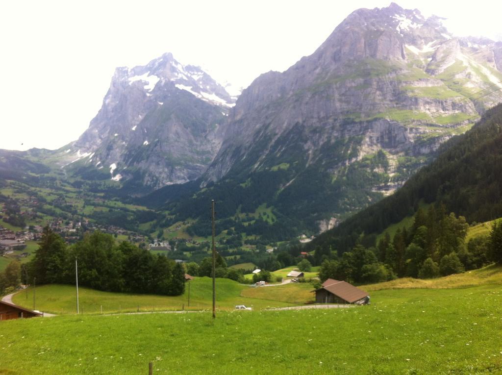 Ferienwohnung Im Gruenen Grindelwald Værelse billede