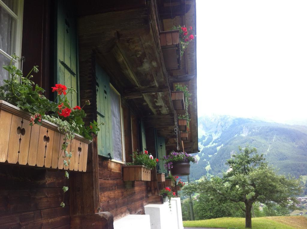 Ferienwohnung Im Gruenen Grindelwald Eksteriør billede