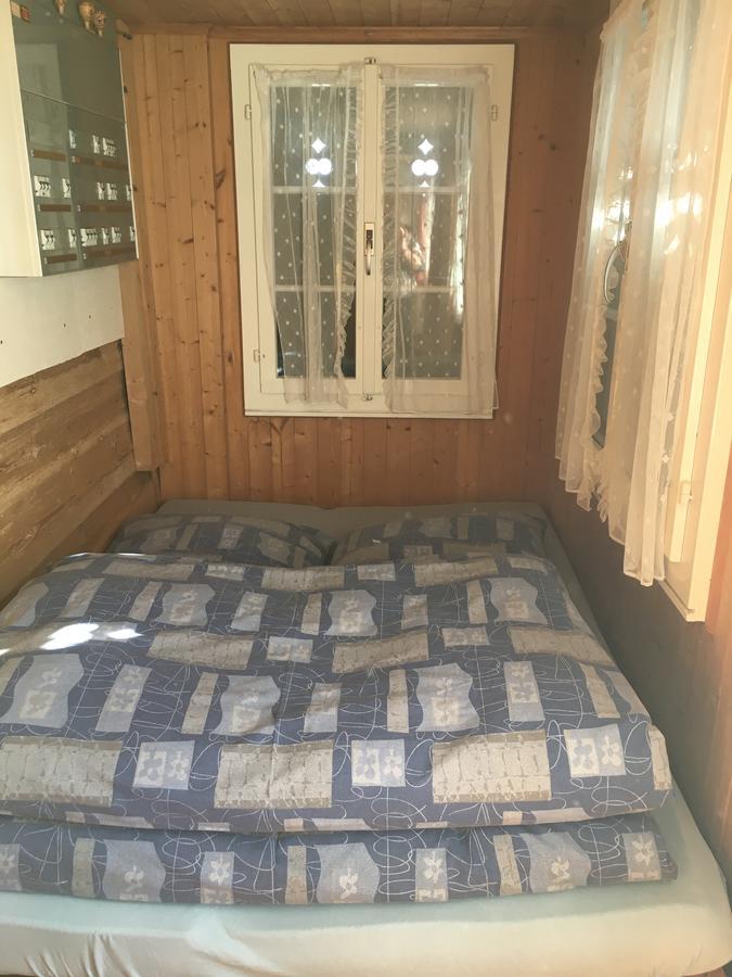 Ferienwohnung Im Gruenen Grindelwald Eksteriør billede