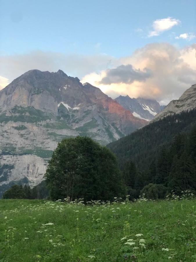 Ferienwohnung Im Gruenen Grindelwald Eksteriør billede